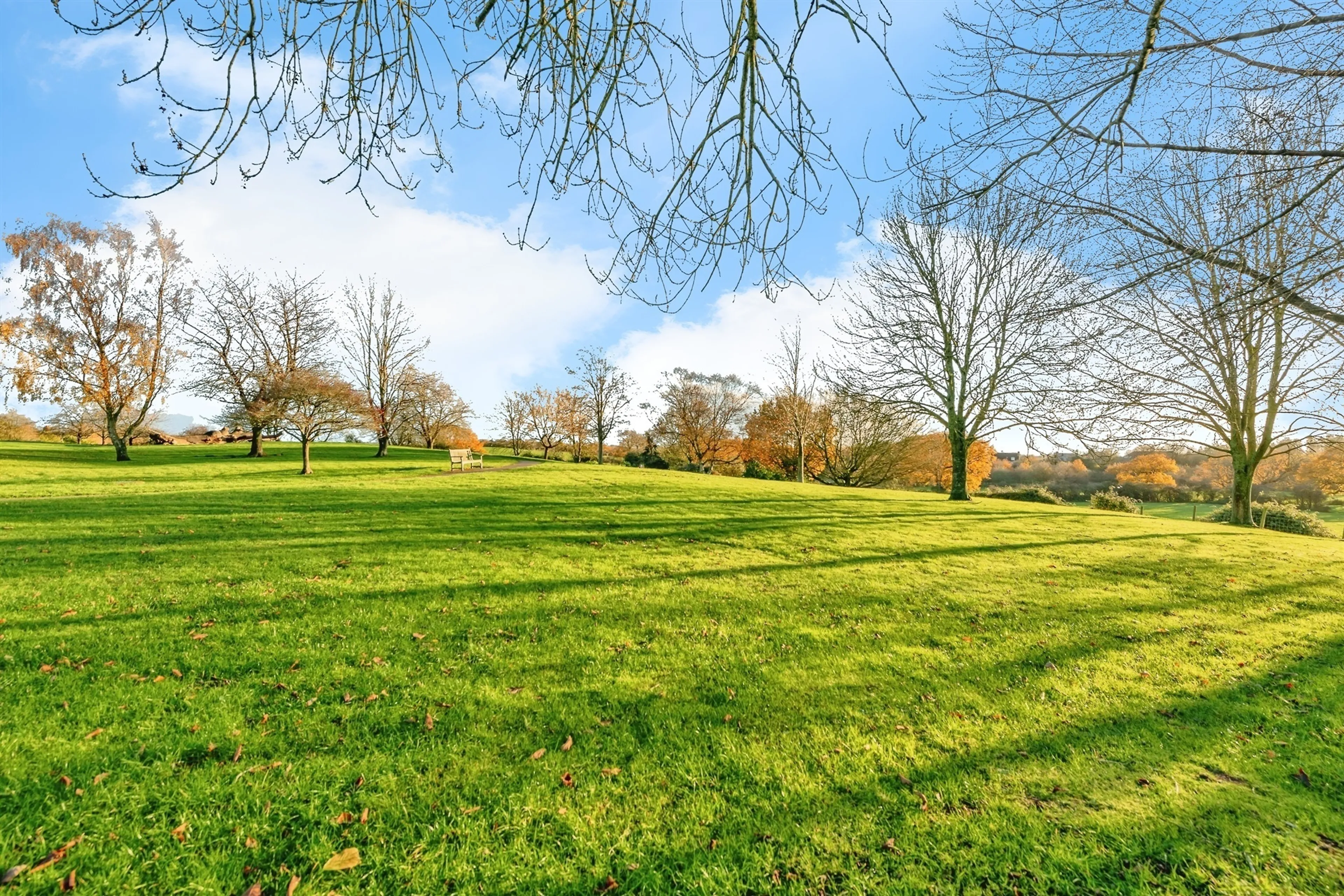 Property photo 12