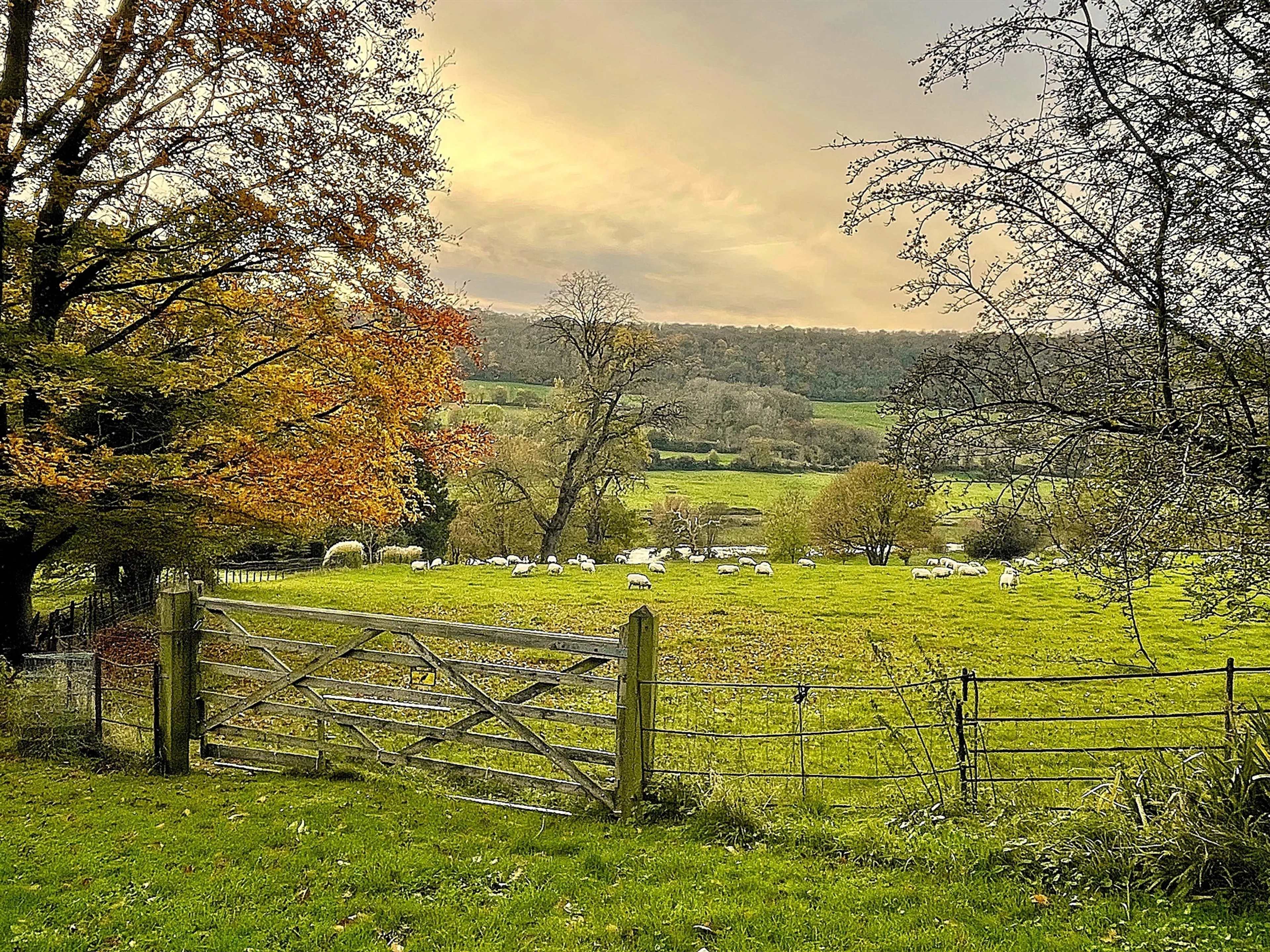 Property photo 19