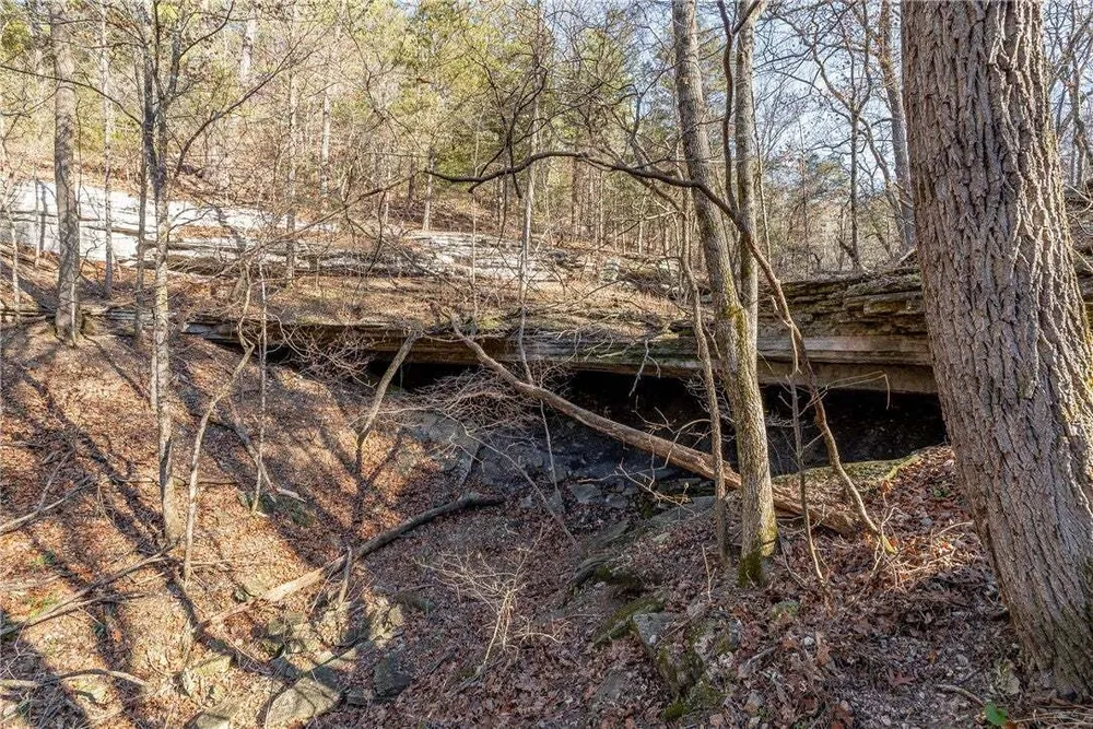 Thompson Ln, Noel, MO 64854