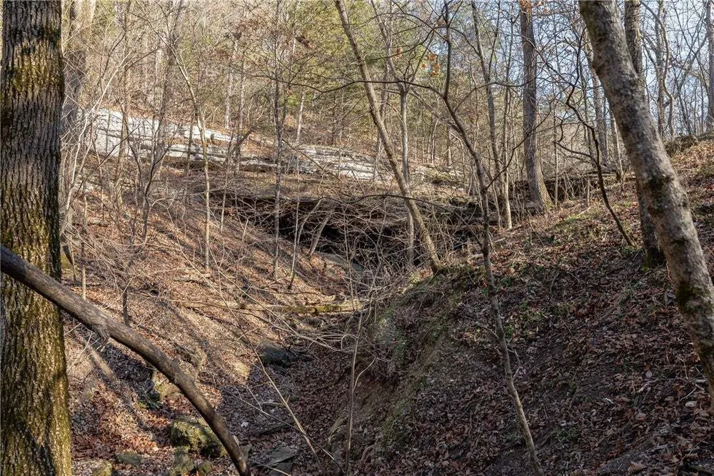 Thompson Ln, Noel, MO 64854