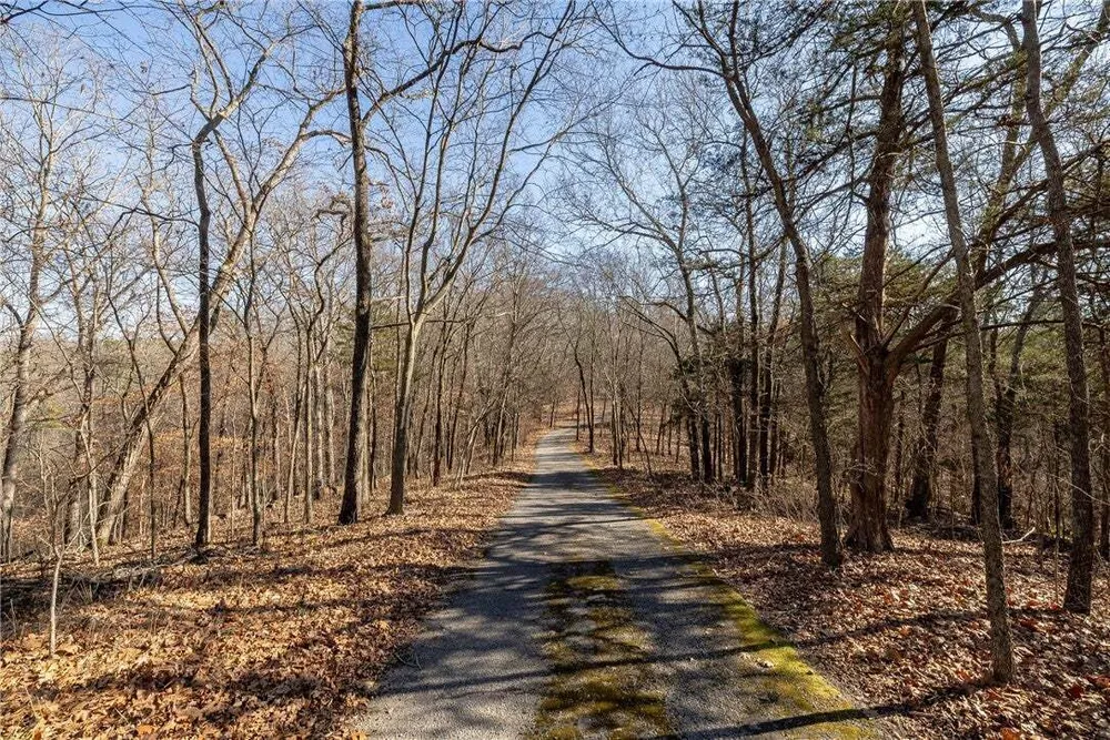 Thompson Ln, Noel, MO 64854