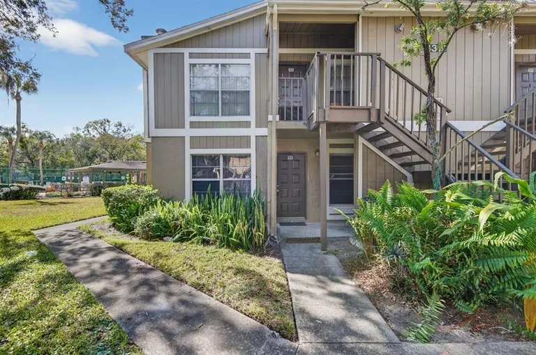 14319 Hanging Moss Circle, Tampa, FL 33613