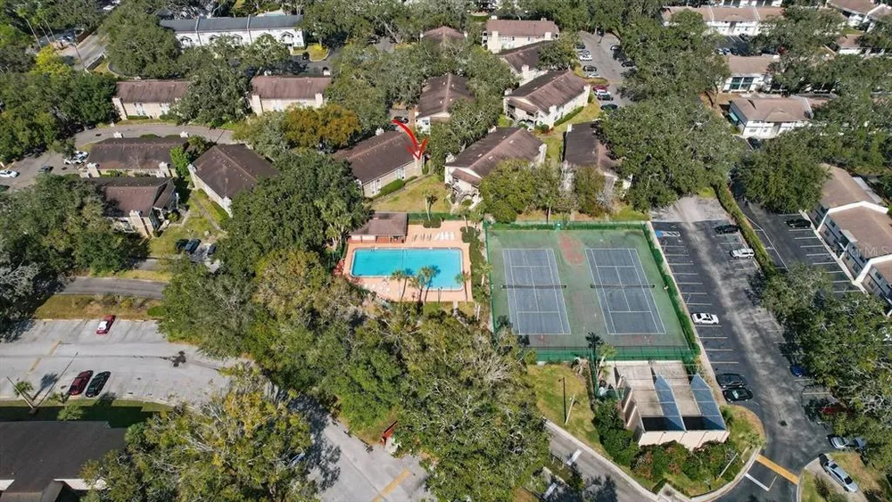 14319 Hanging Moss Circle, Tampa, FL 33613