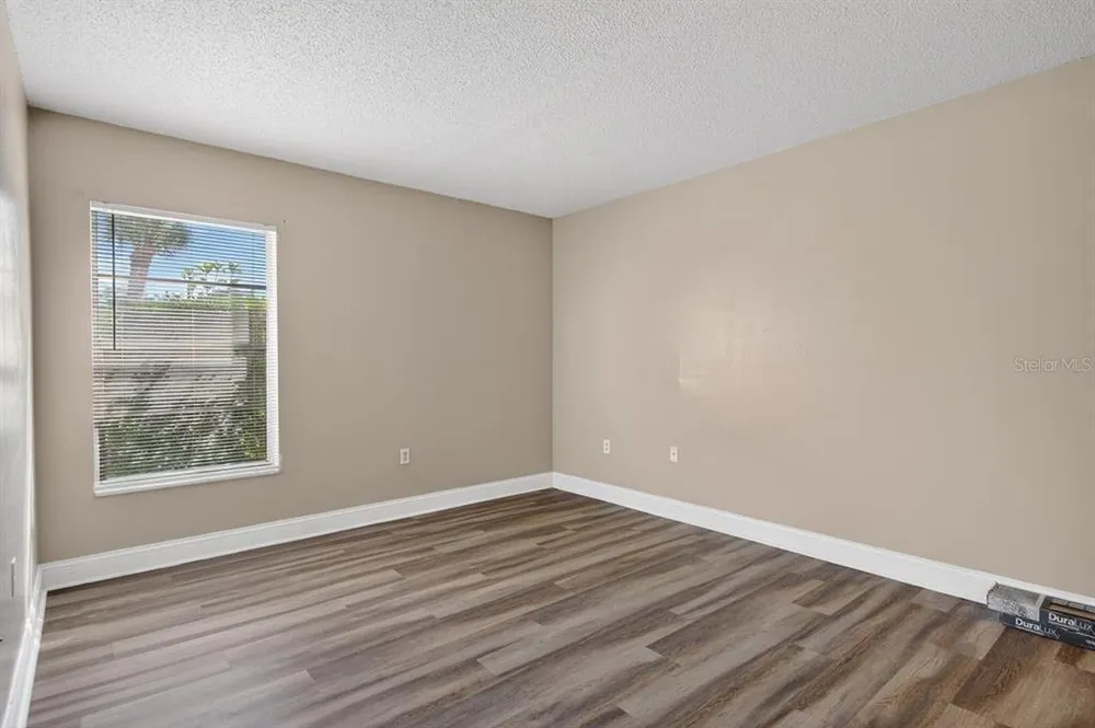 14319 Hanging Moss Circle, Tampa, FL 33613