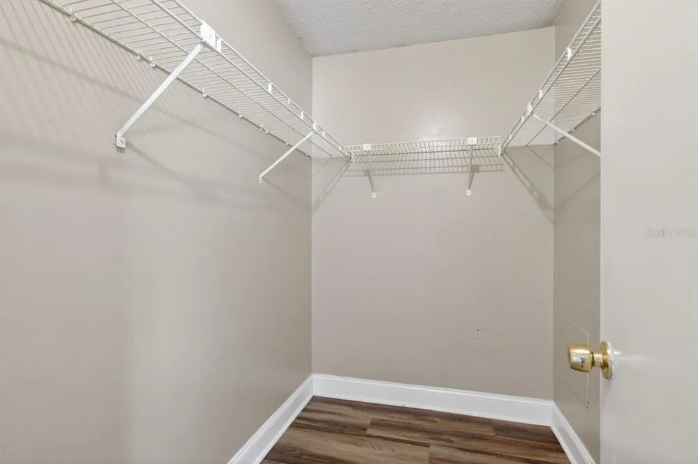 14319 Hanging Moss Circle, Tampa, FL 33613