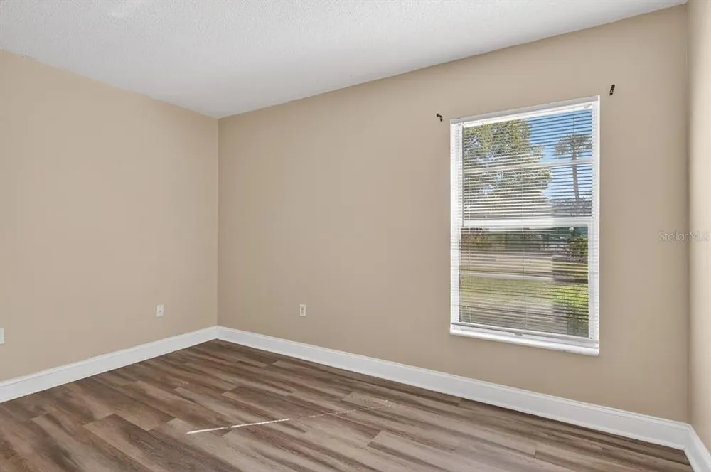 14319 Hanging Moss Circle, Tampa, FL 33613