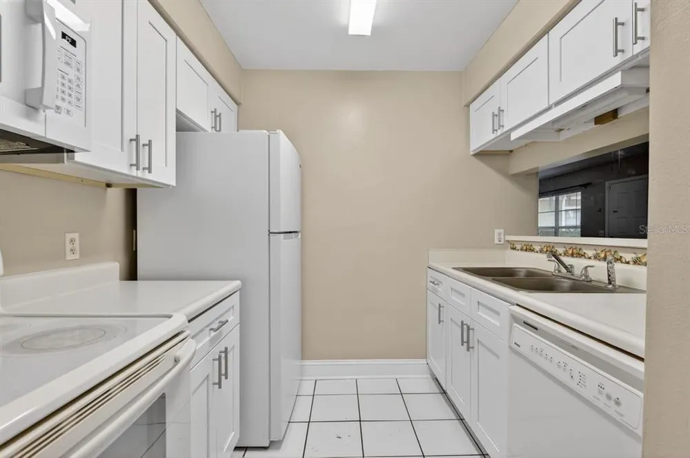 14319 Hanging Moss Circle, Tampa, FL 33613
