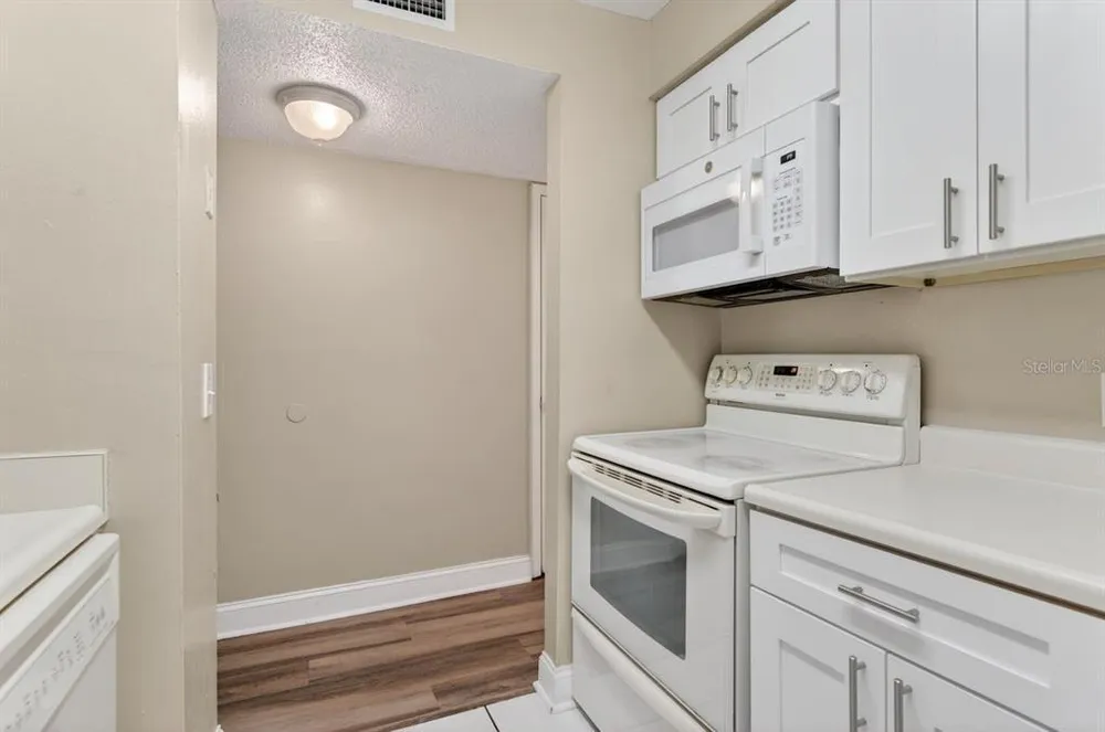 14319 Hanging Moss Circle, Tampa, FL 33613