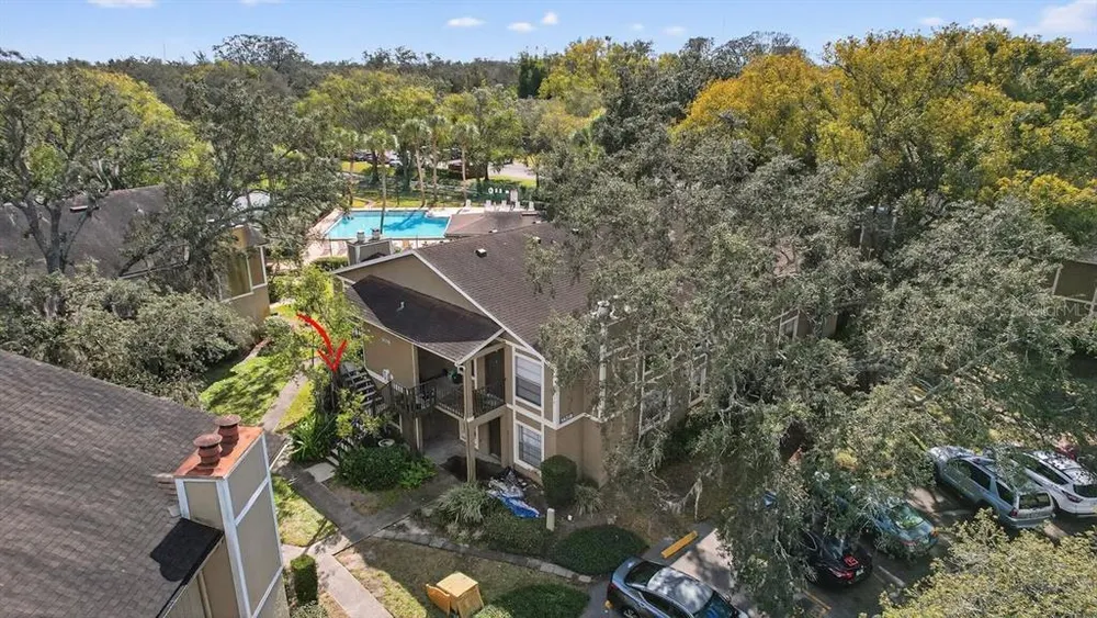14319 Hanging Moss Circle, Tampa, FL 33613