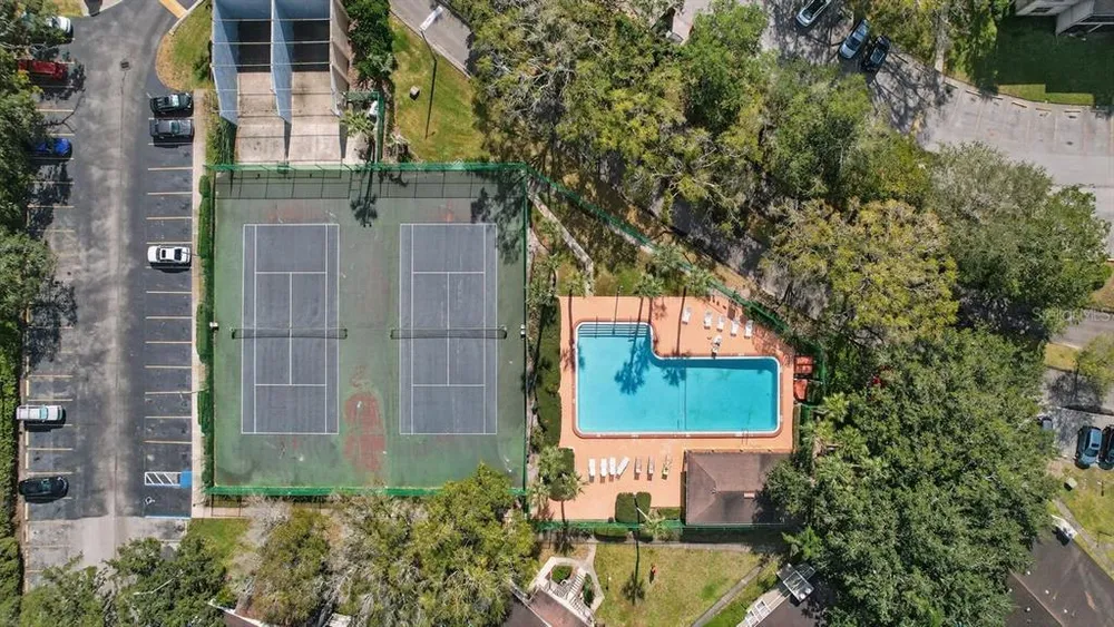14319 Hanging Moss Circle, Tampa, FL 33613