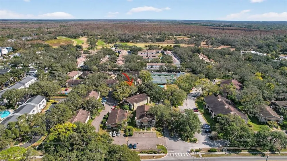 14319 Hanging Moss Circle, Tampa, FL 33613