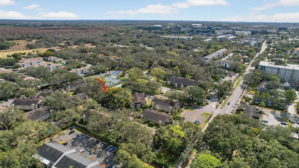 14319 Hanging Moss Circle, Tampa, FL 33613