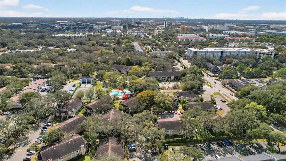 14319 Hanging Moss Circle, Tampa, FL 33613