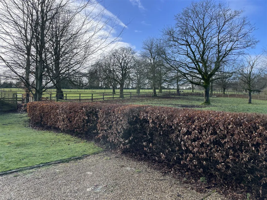 https://mr0.homeflow-assets.co.uk/files/photo/image/46617/2654/_x_/Vp5yO3vlCUCqOjBlgm58zg.jpg
