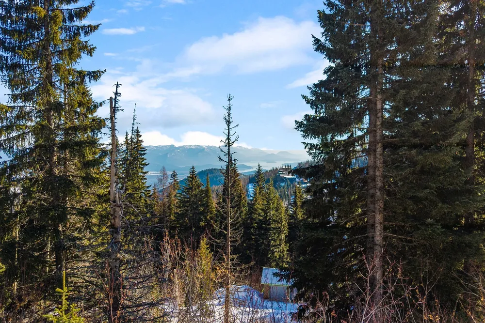 Mogul Hill Rd, Sandpoint, ID 83864