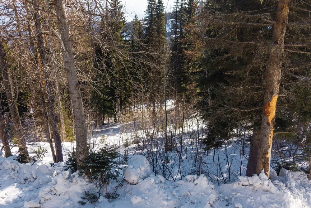 Mogul Hill Rd, Sandpoint, ID 83864