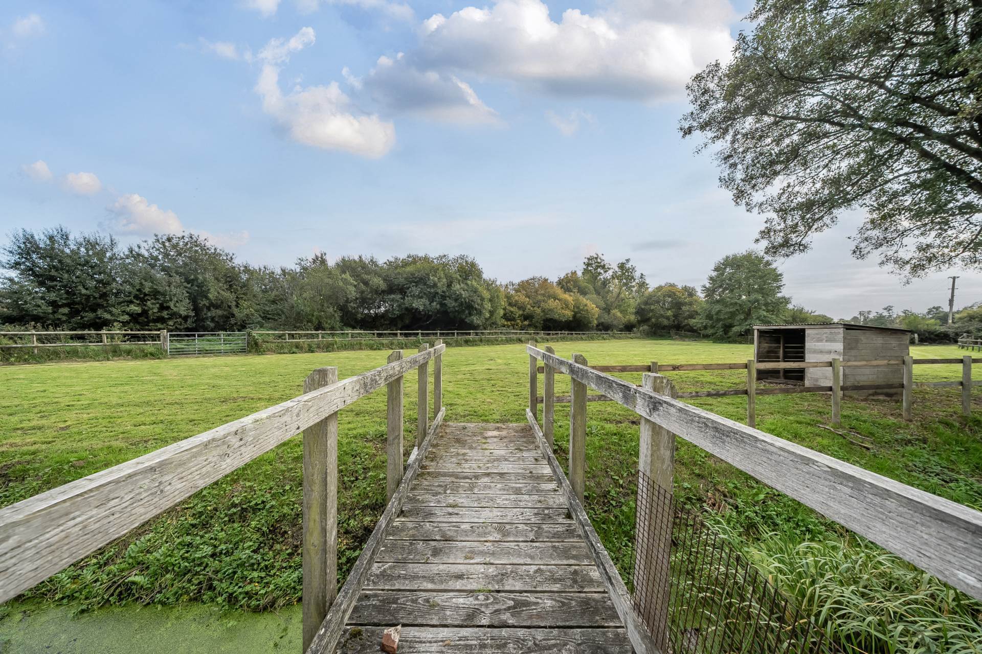 Breamore, Hampshire Image 18