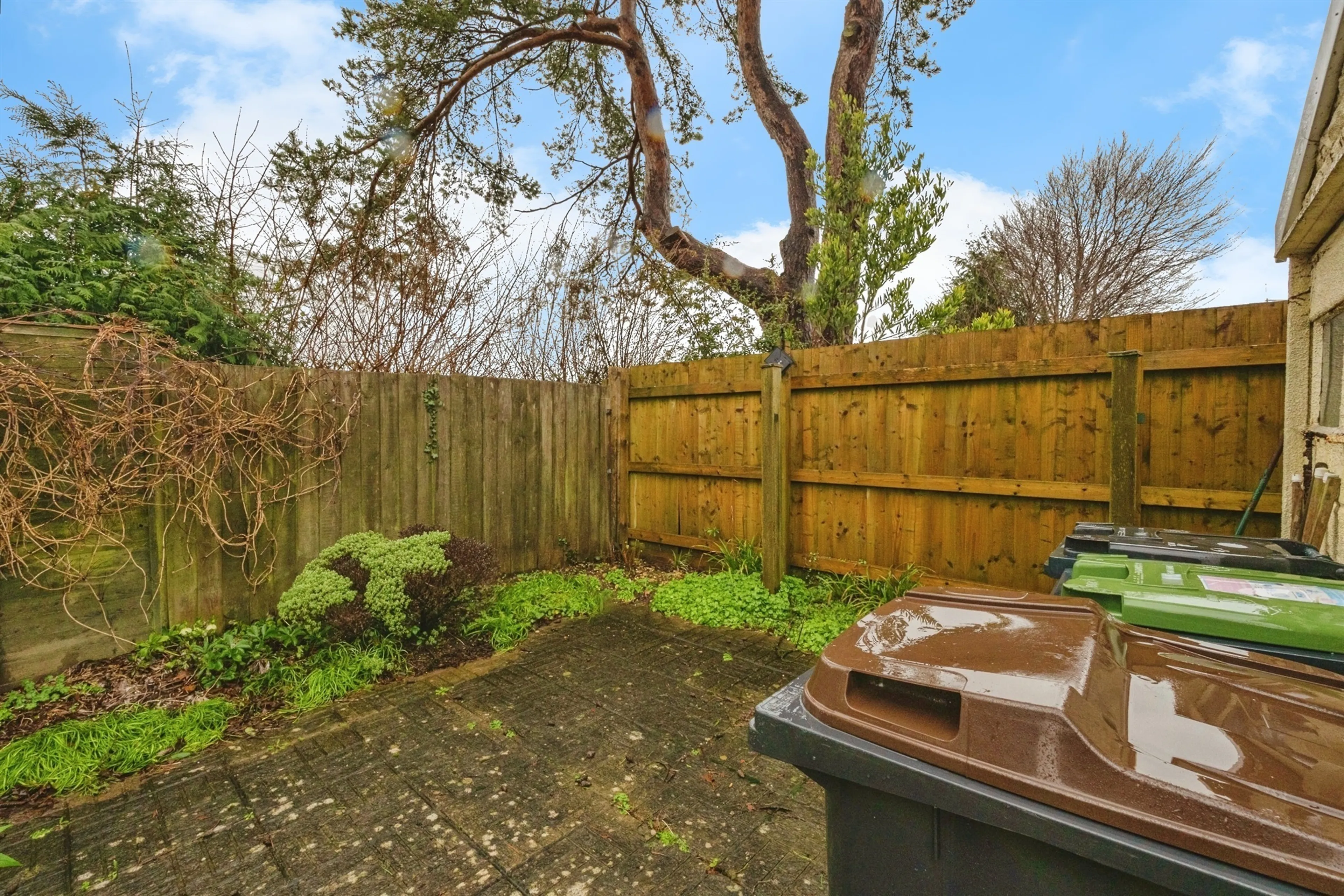 Property photo 19