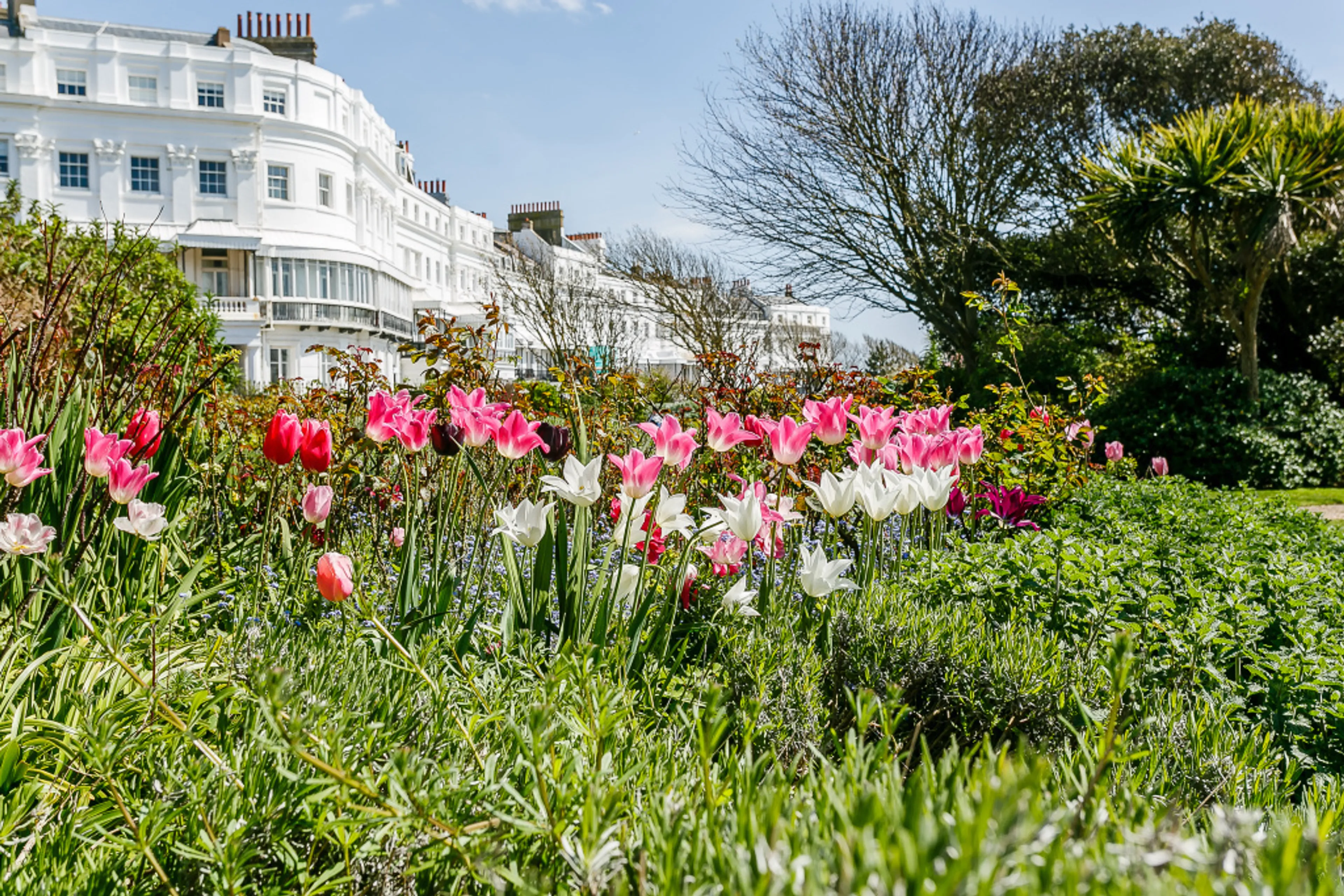 Property at Arundel Terrace, Brighton