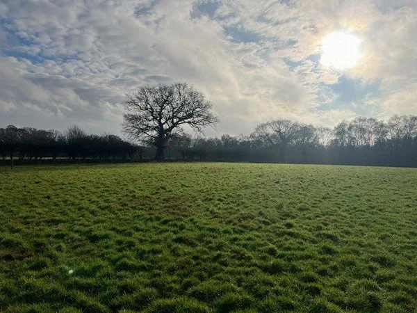 Broad Fen Lane, Dilham, North Walsham..., North Walsham