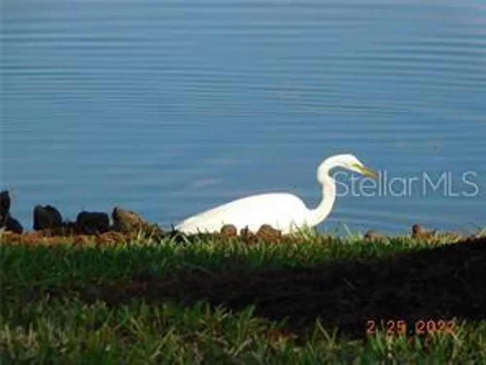 25601 Heritage Lake Blvd, Punta Gorda, FL 33983