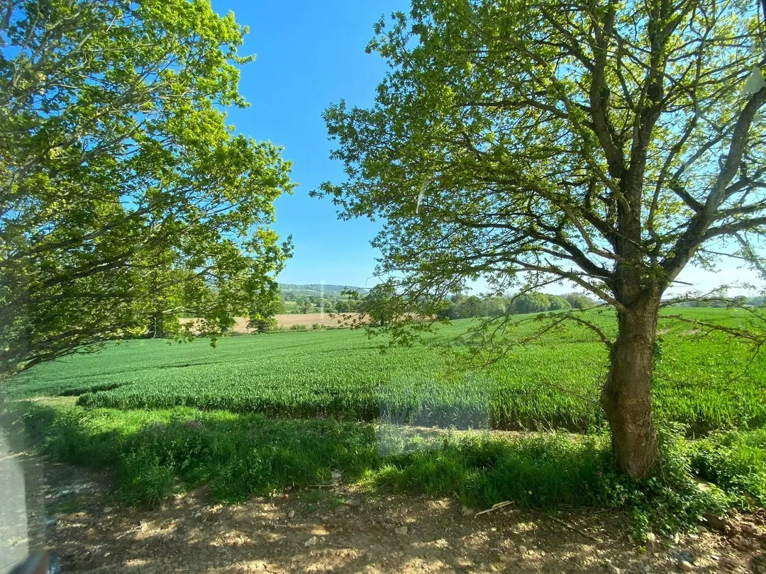 https://mr0.homeflow-assets.co.uk/files/photo/image/46797/4819/_x_/NEW220015_09.jpg
