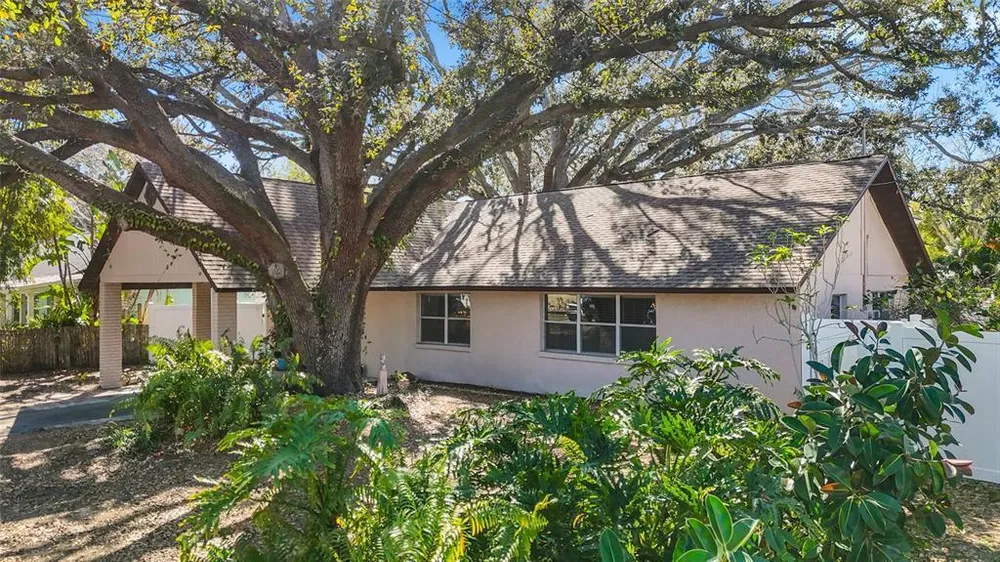 4319 S Cameron Ave, Tampa, FL 33611