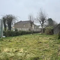 Property 19