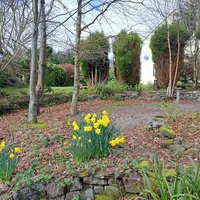 Property 21