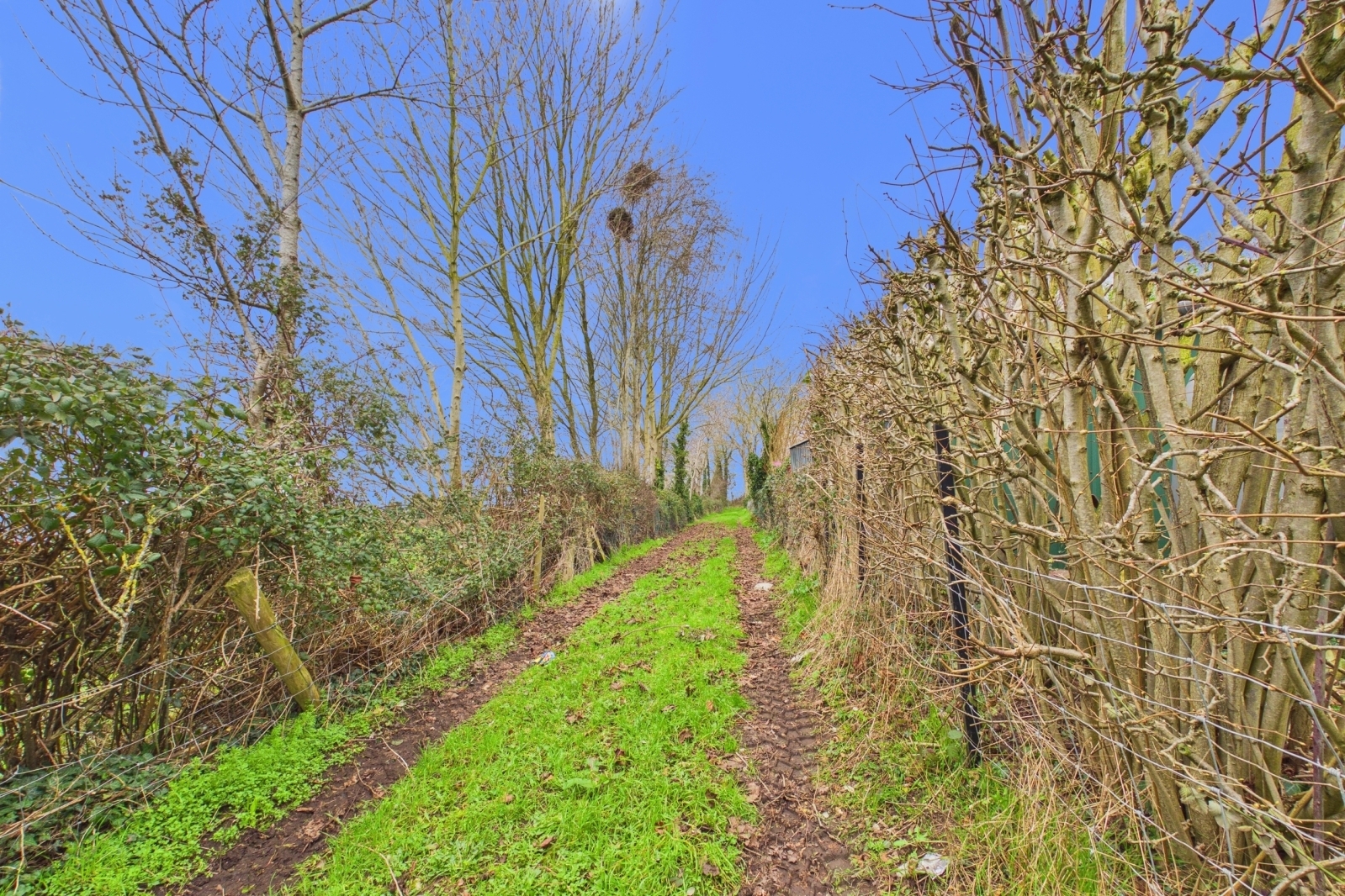 Perryfield Estate, St. Owens Cross, Hereford, Herefordshire, HR2 Image 16