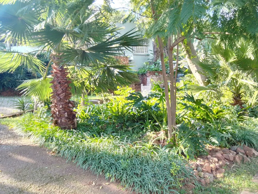 South Africa, North West, Schoemansville