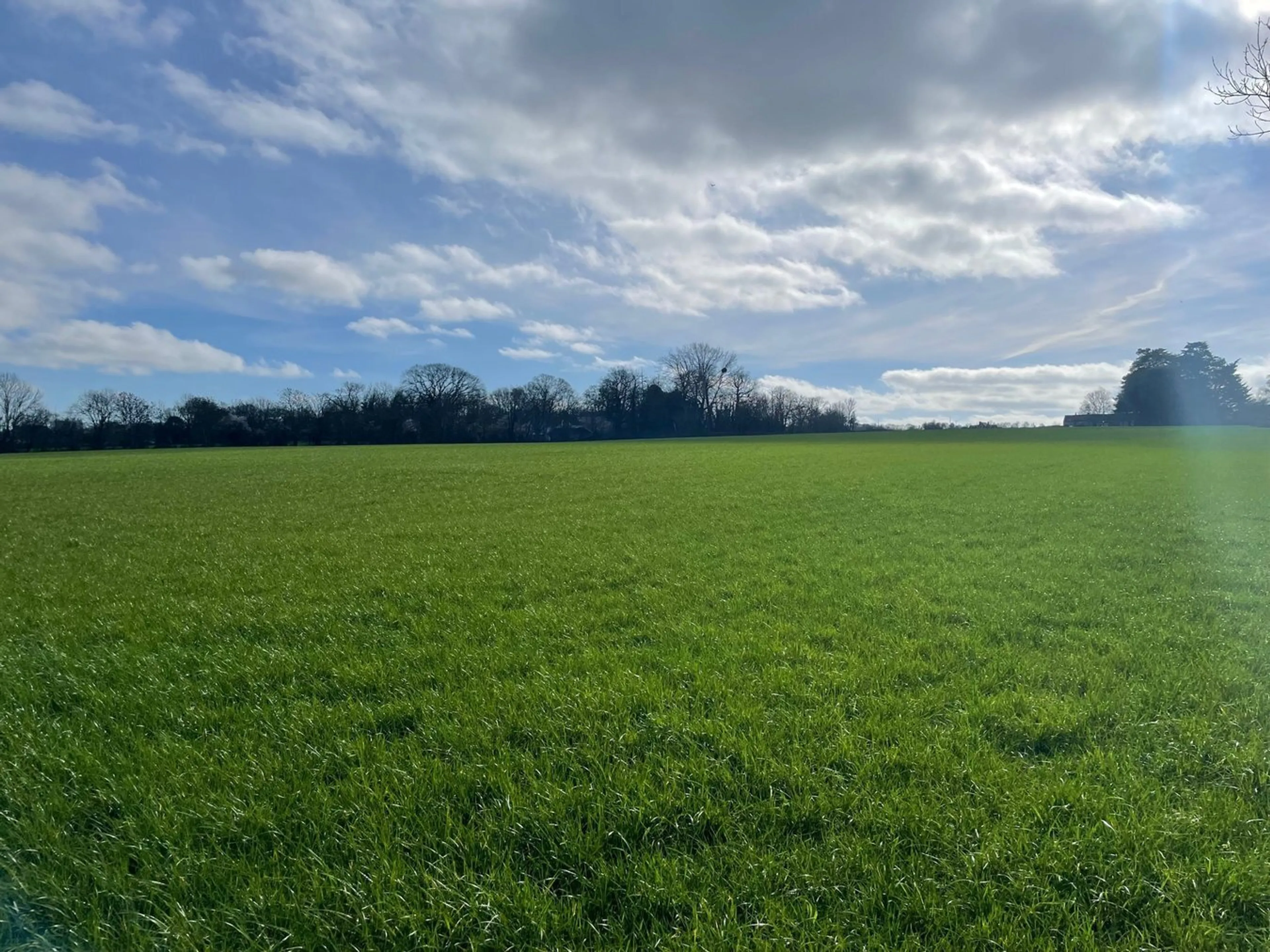 Lot 10 - 16.40 Acres, Broadway, Edington, TA7
