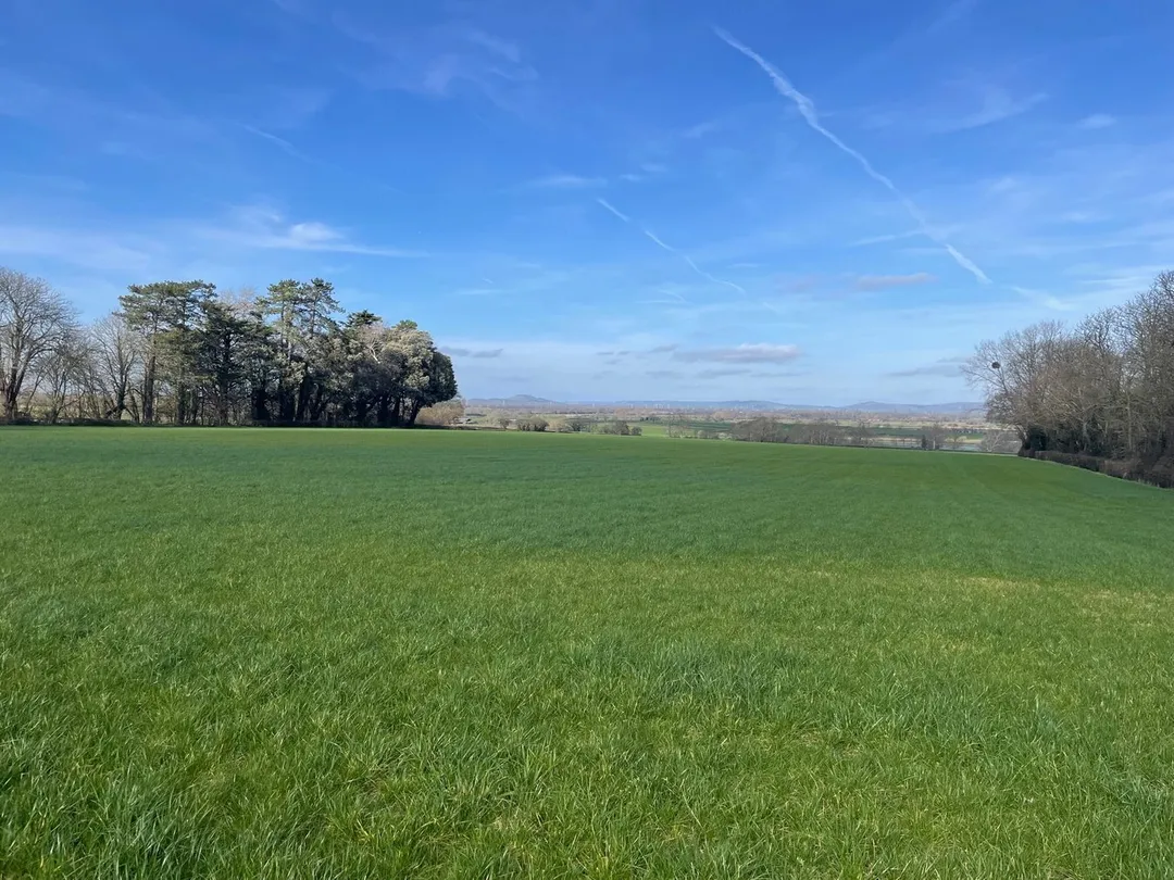 https://mr0.homeflow-assets.co.uk/files/photo/image/46901/6726/_x_/54863030.jpg