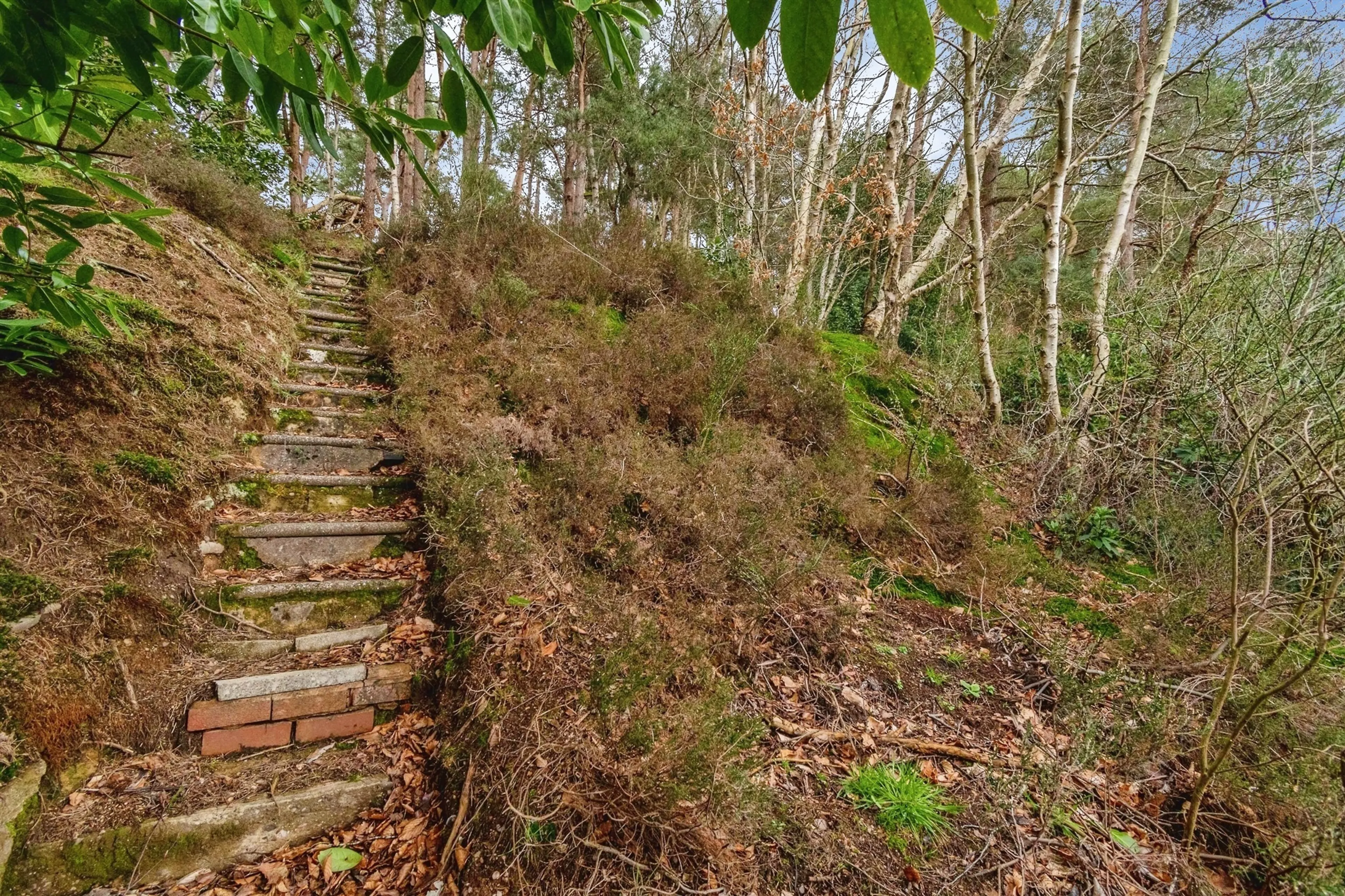 Property photo 18
