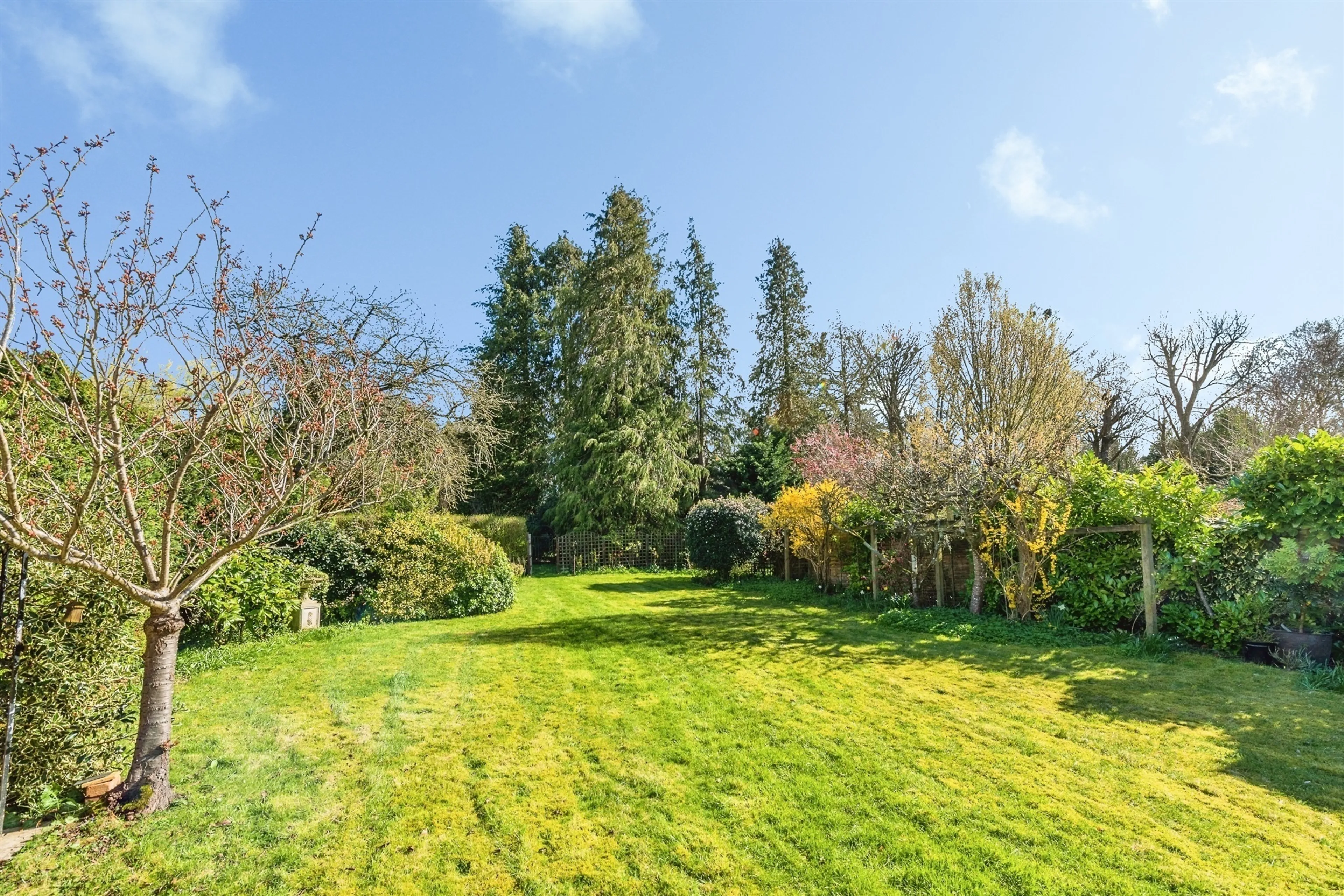 Property photo 22