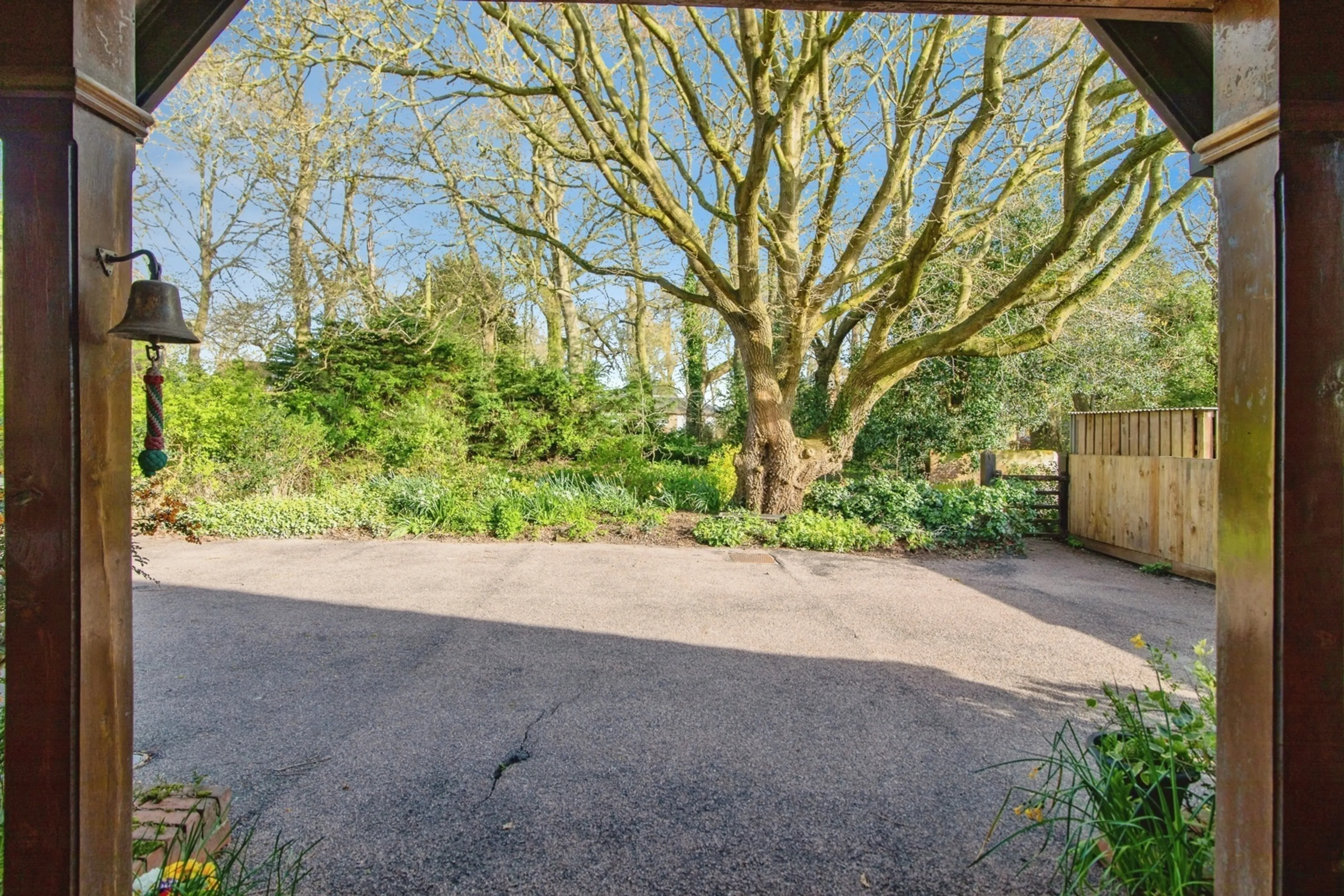 Property photo 19