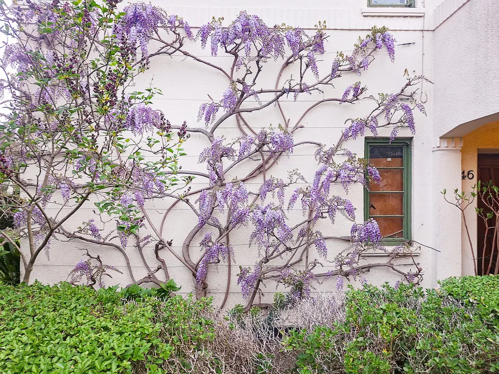 Colebrook Close, London, SW15