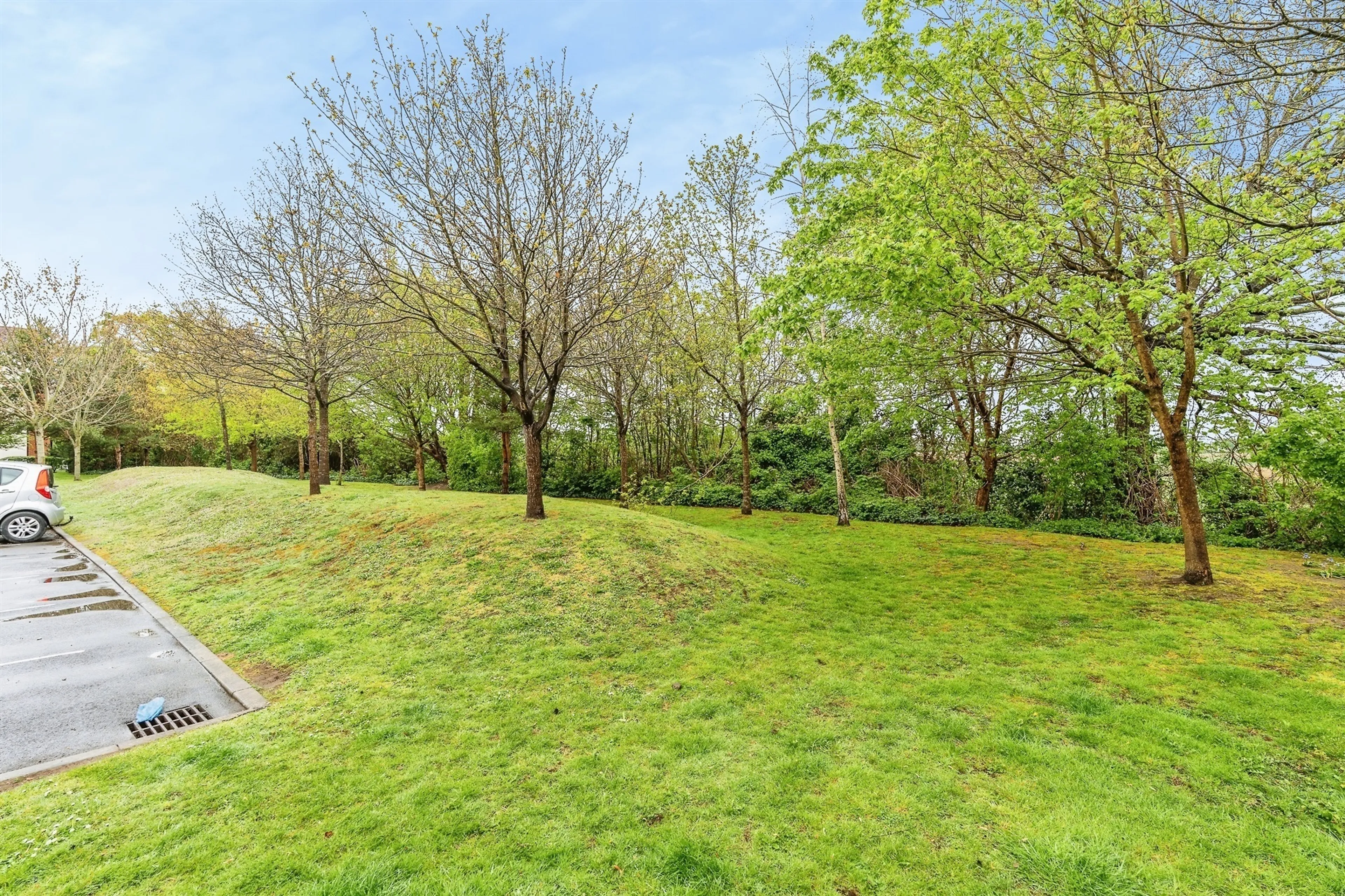 Property photo 24