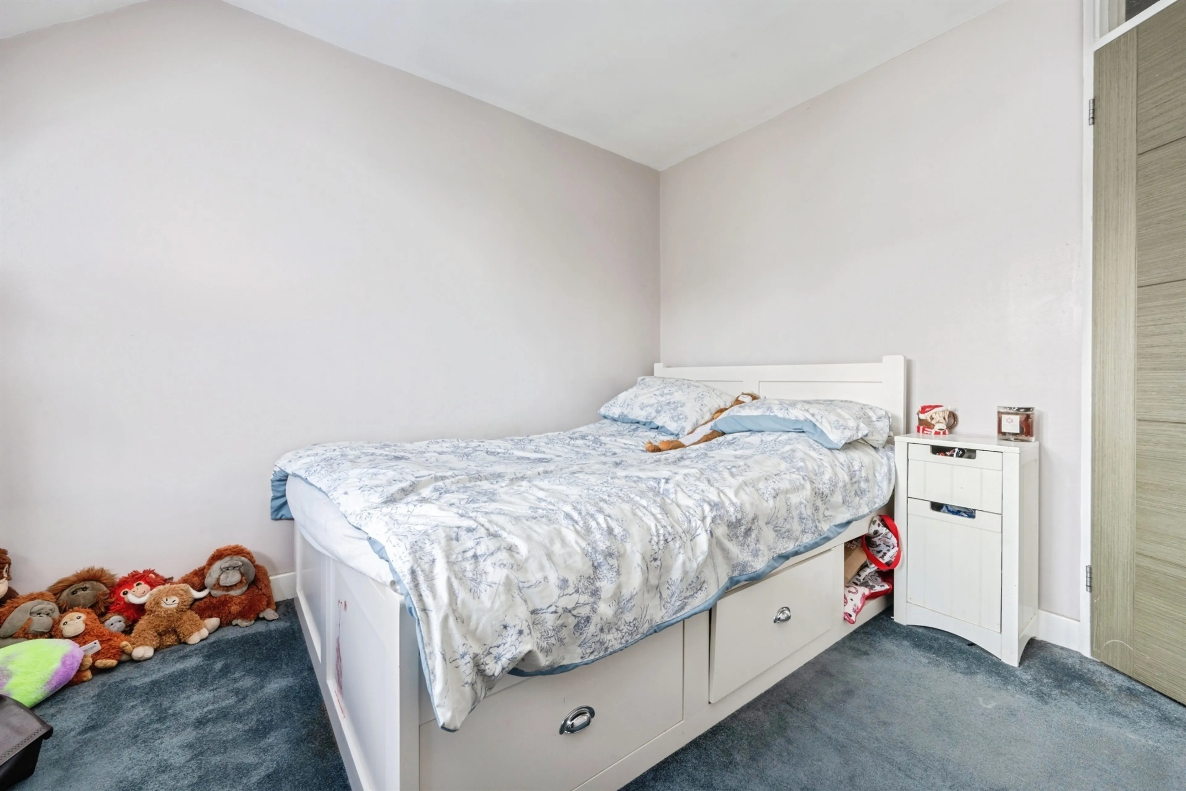 Property photo 43