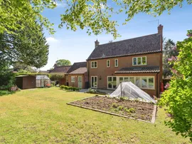 Becks Wood, Harpley, King's Lynn thumb 3