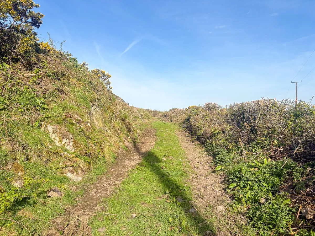 Tyn Lon, Holyhead, Isle of Anglesey, LL65