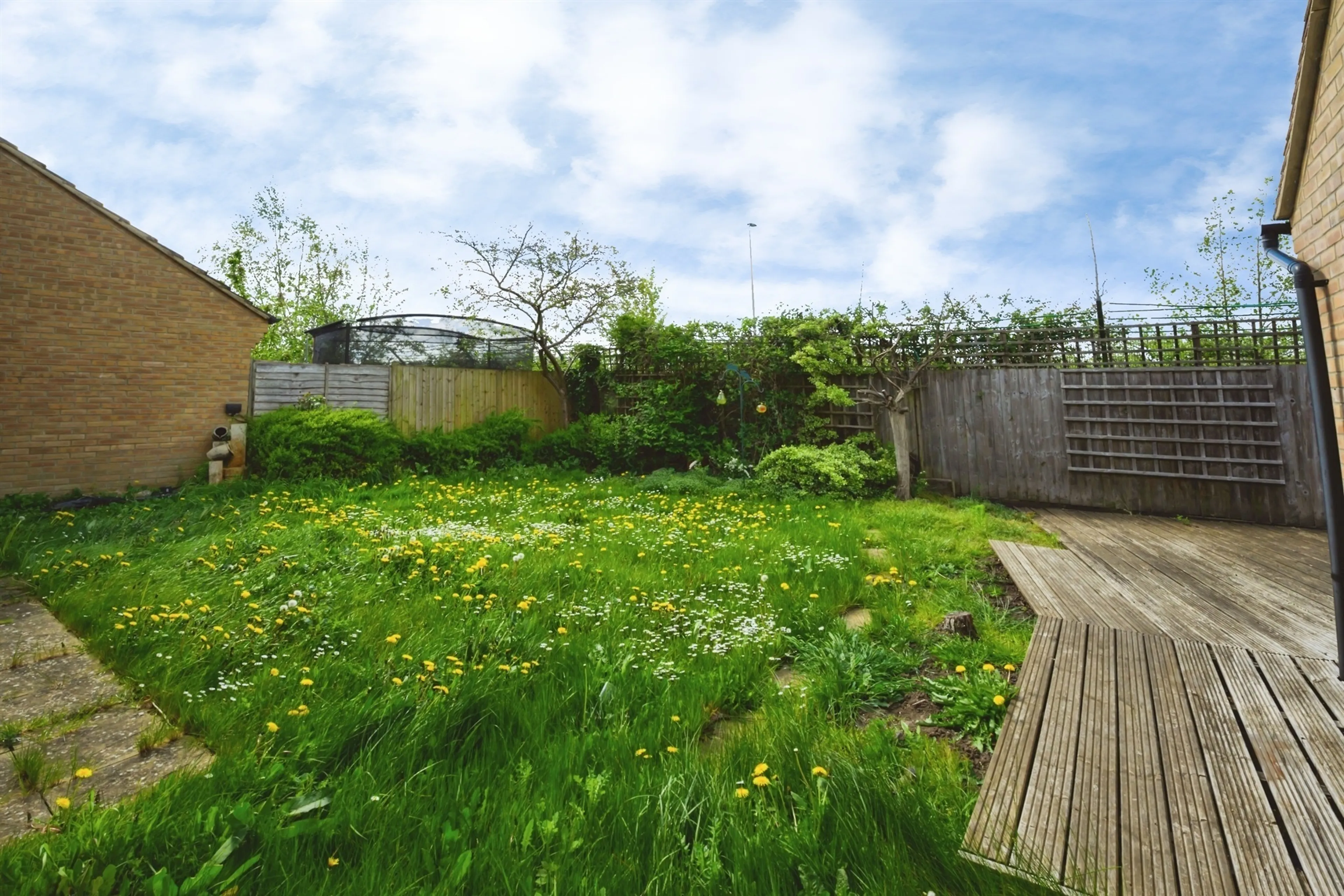 Property photo 19