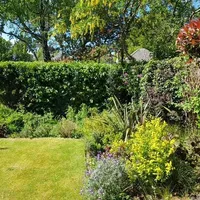 Property 31