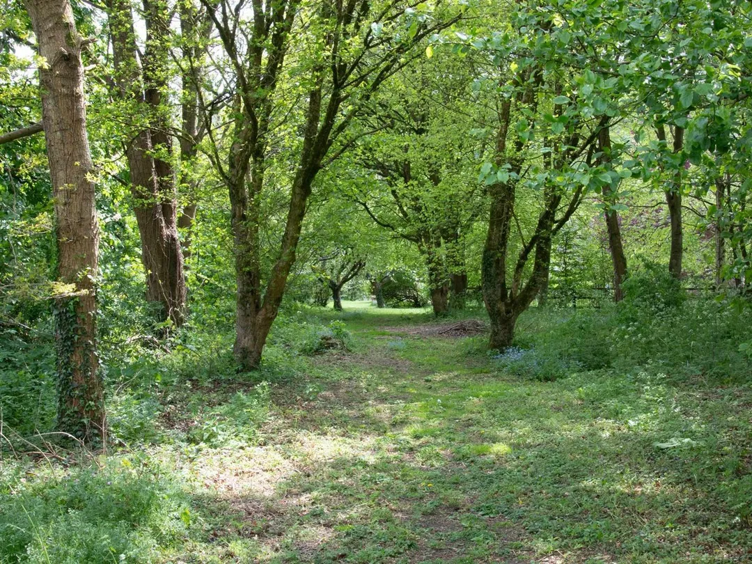 https://mr0.homeflow-assets.co.uk/files/photo/image/47119/7773/_x_/90iOum9hkk-28A47iwNyEQ.jpg