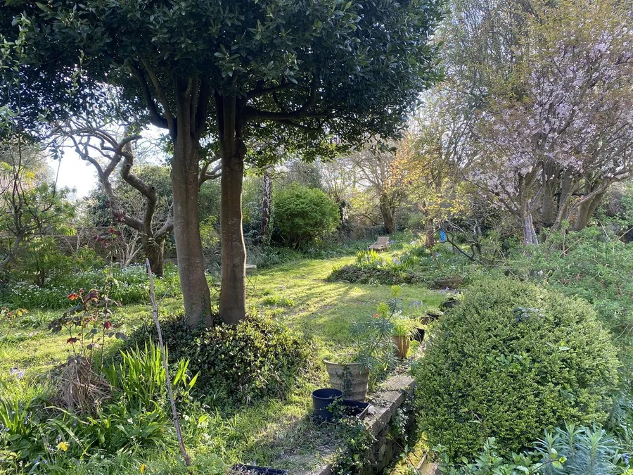 Property Image 20