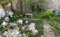 Property image gallery