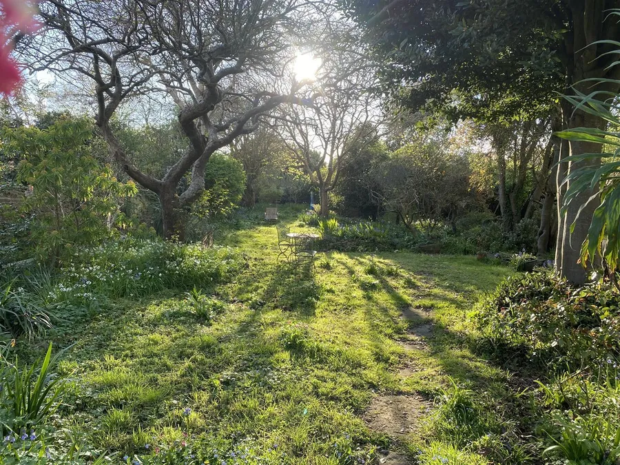 Property Image 28