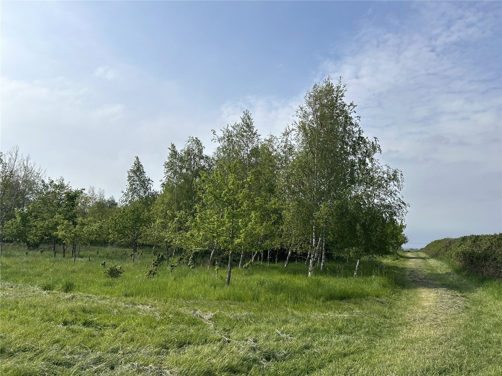 Property cover