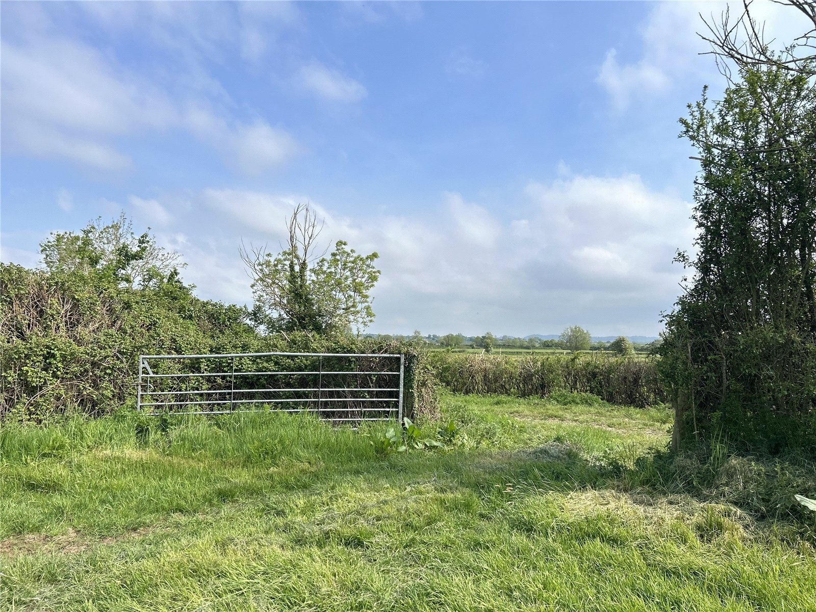 Wetmoor Lane, Langport, Somerset, TA10
