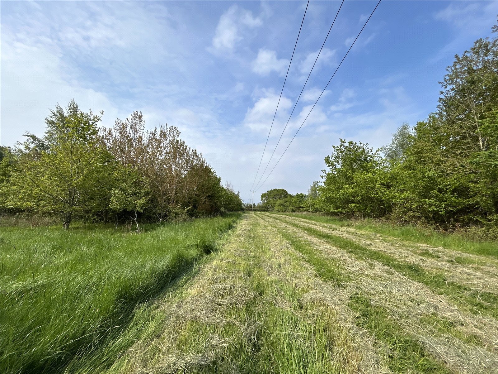 Wetmoor Lane, Langport, Somerset, TA10